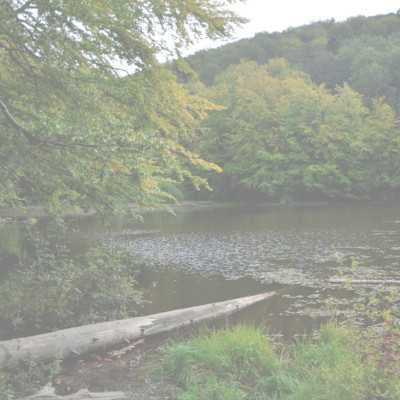 Nature’s Healing Touch | How Green Spaces Improve Mental Health and Well-Being